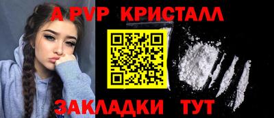 шишки Ставрополь