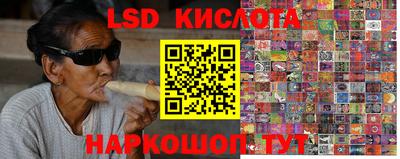 шишки Ставрополь