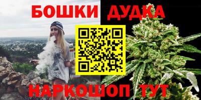 шишки Ставрополь