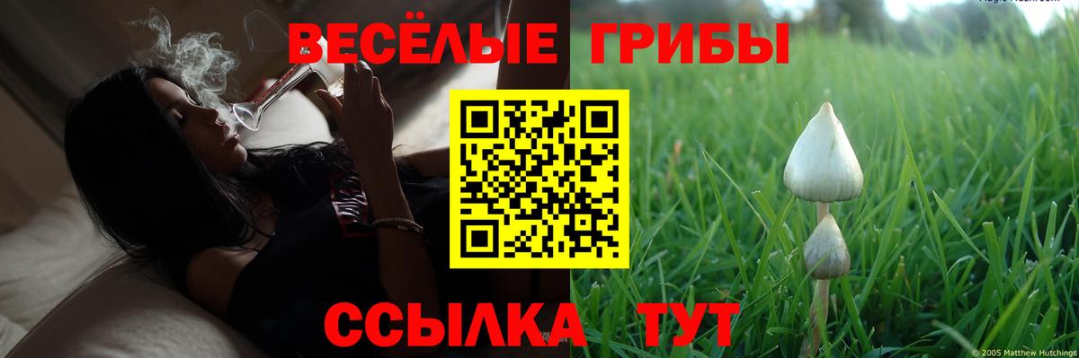 Псилоцибиновые грибы мухоморы Оренбург